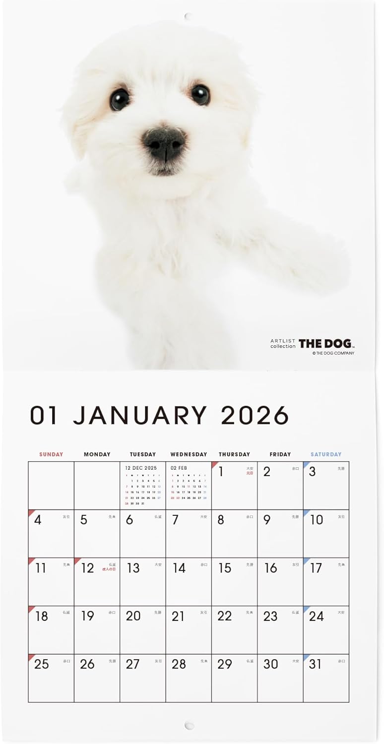 THE DOG 2026 Wall Calendar Mini Size [Maltese]
