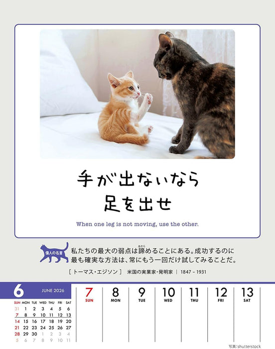 Try-X Life Works Itself Out! 2026 Desk Wall Calendar CL-384 18 x 14cm
