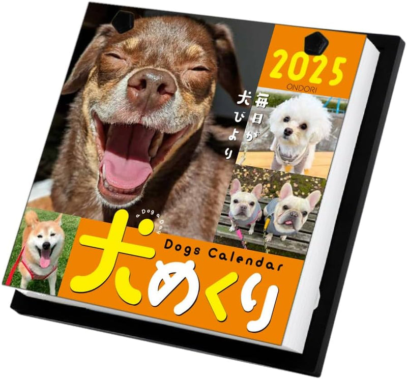 CO2 Dogs 2025 Page-A-Day Calendar CK-D25-01