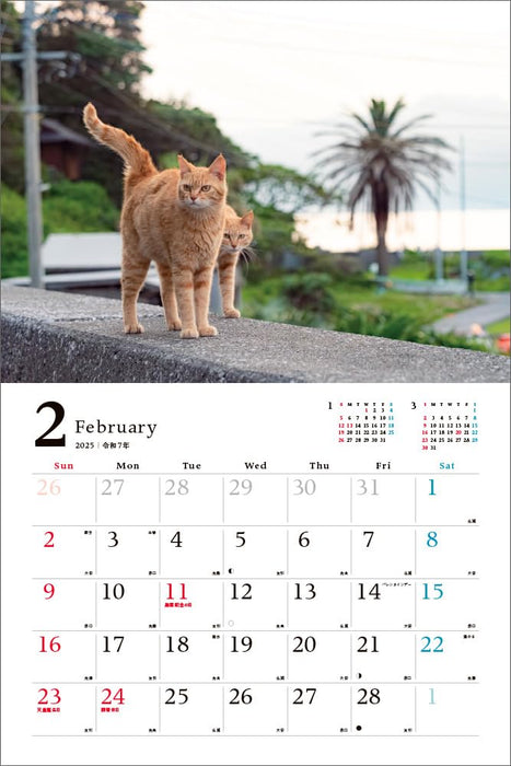 Relaxing Island Cat Journey 2025 Calendar