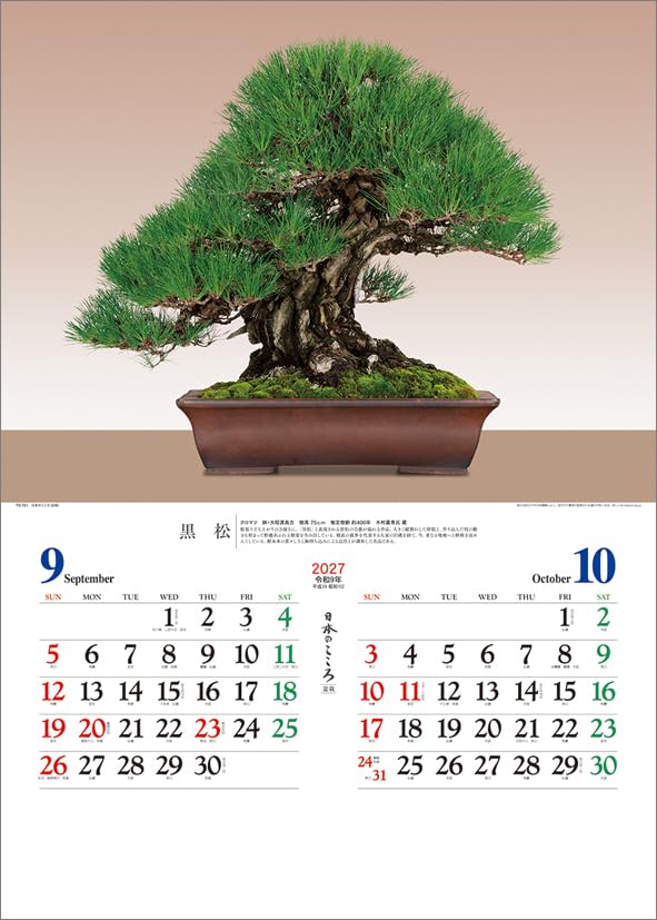 Todan 2027 Wall Calendar Japanese Heart Bonsai CL27-1039