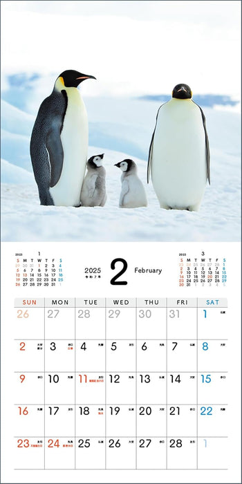 Baby Emperir Penguin Calendar 2025