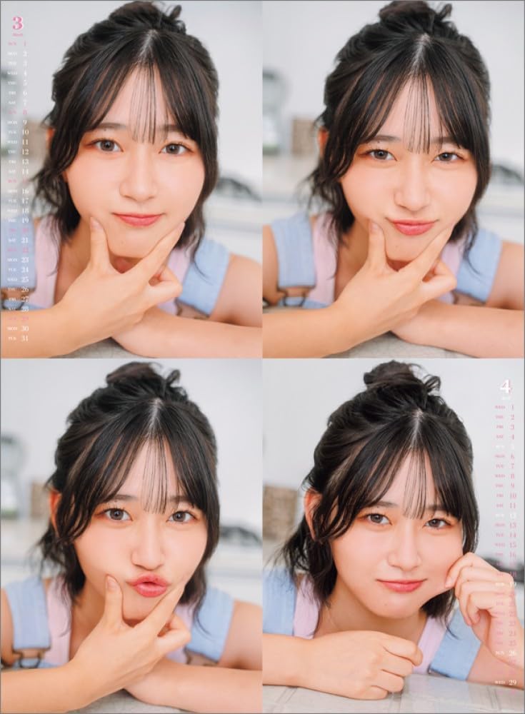 Hagoromo Rina Endo 2026 Wall Calendar CL26-0237