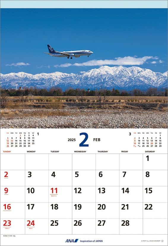 ANA 'Flight' (Includes Mini Calendar) 2025 Wall Calendar CL25-1149