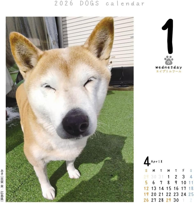 CO2 Dogs 2026 Page-A-Day Calendar Refill CK-D26-02