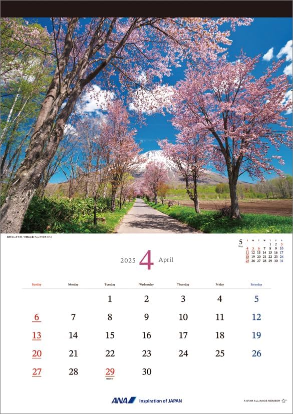 ANA 'Graphic Gallery Hokkaido' 2025 Wall Calendar CL25-1148