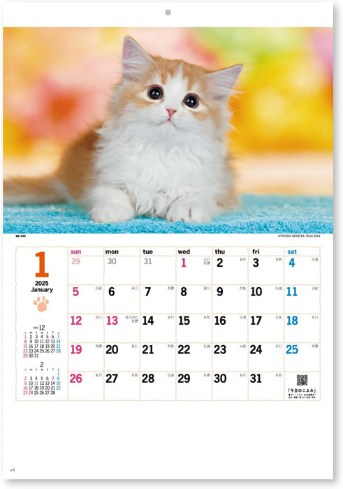 New Japan Calendar 2025 Wall Calendar Thank you! Cat NK455