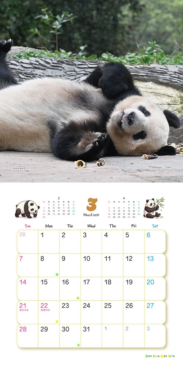 Try-X Xiang Xiang Xiaoxiao Lei Lei 2027 Wall Calendar 27CL-385 48 x 24cm