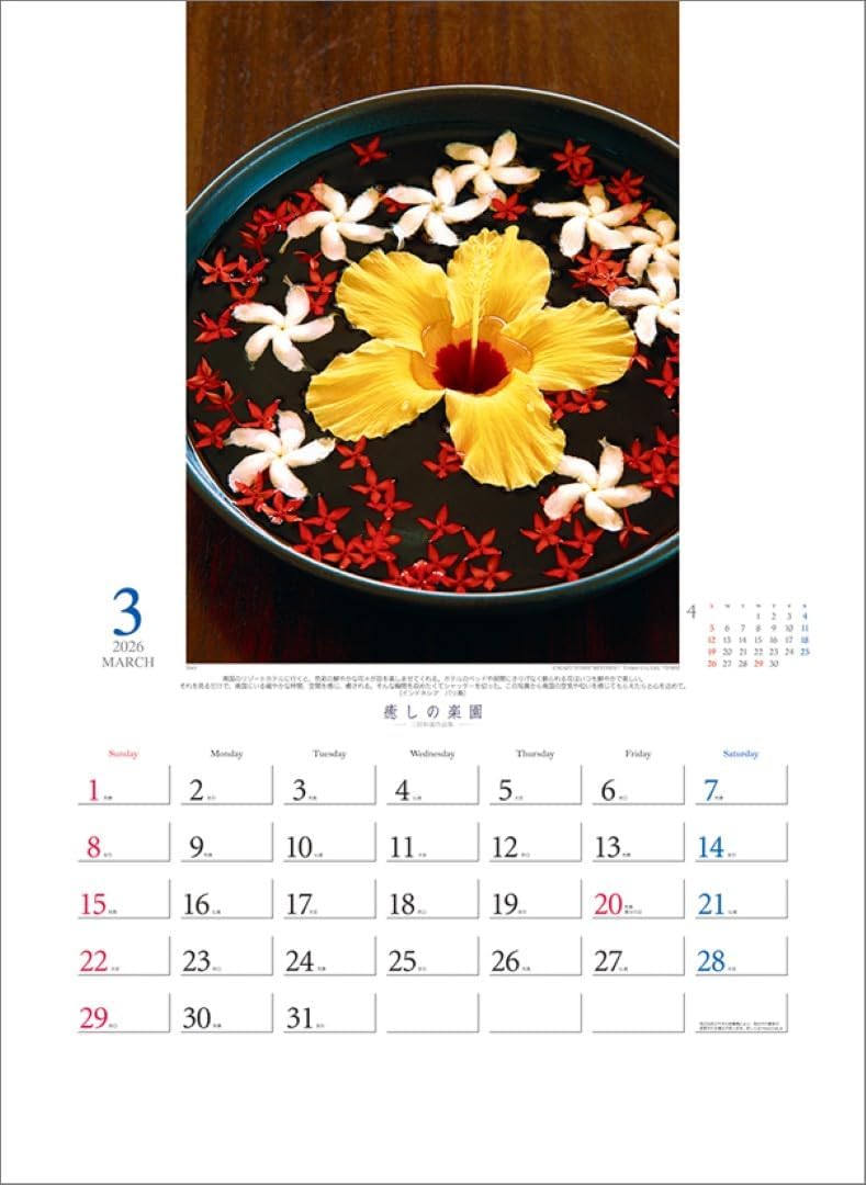 Todan 2026 Wall Calendar Healing Paradise - Kazuyoshi Miyoshi Works Collection TD-30653 CL26-1026