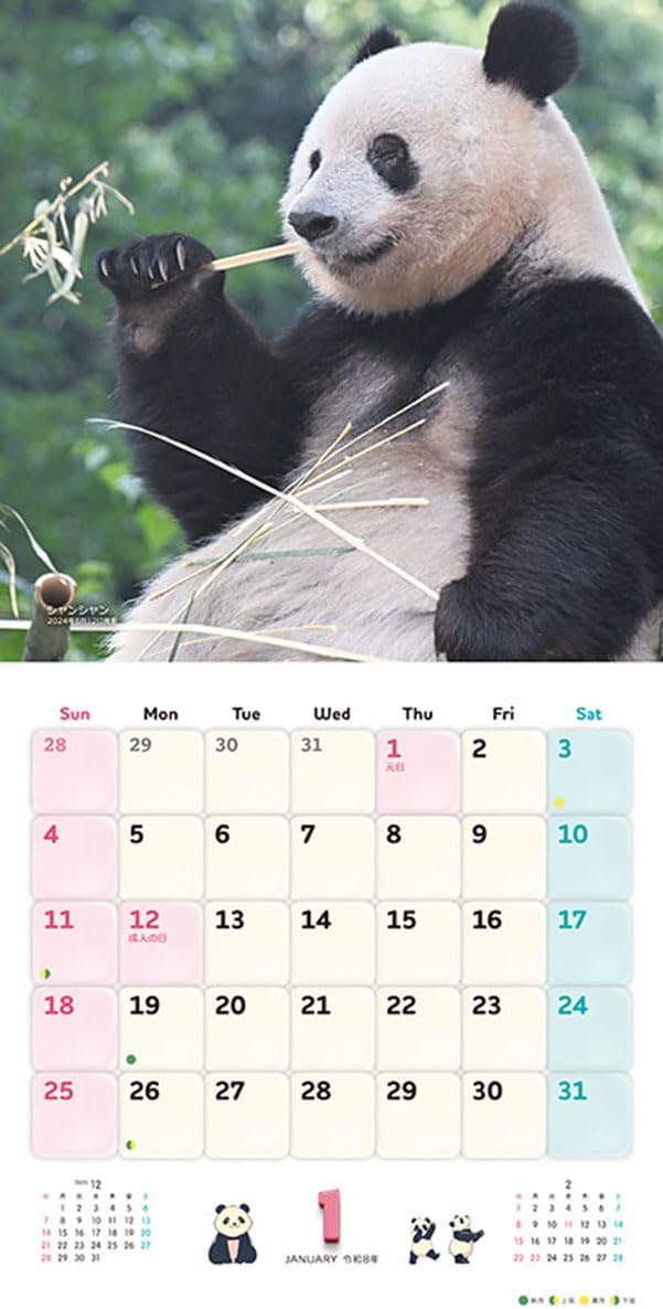 Try-X Xiang Xiang Xiaoxiao Lei Lei 2026 Wall Calendar CL-385 48 x 24cm