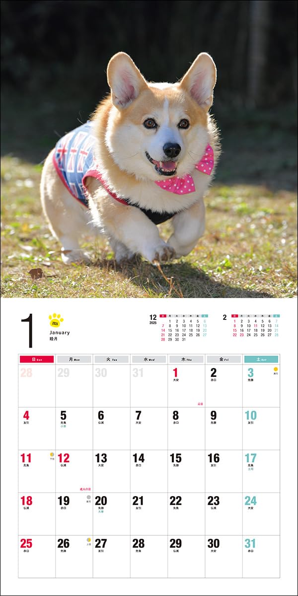 2026 Welsh Corgi Calendar (Seibundo-shinkosha Calendar)