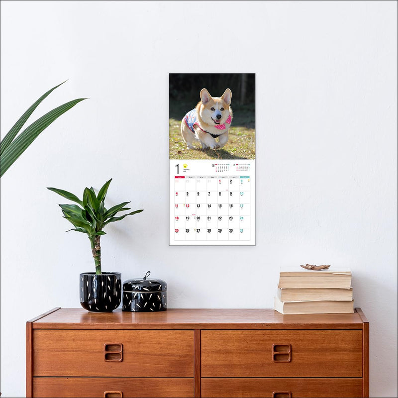 2026 Welsh Corgi Calendar (Seibundo-shinkosha Calendar)