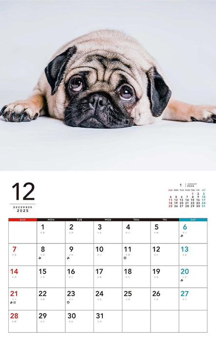 I LOVE Pug Calendar 2026 (Monthly/Wall Calendar)