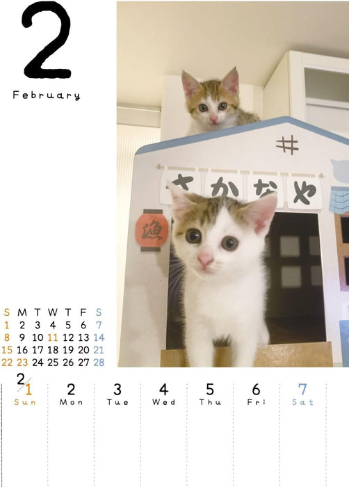 Koneko Mekuri 2026 Desk Calendar CK-C26-03