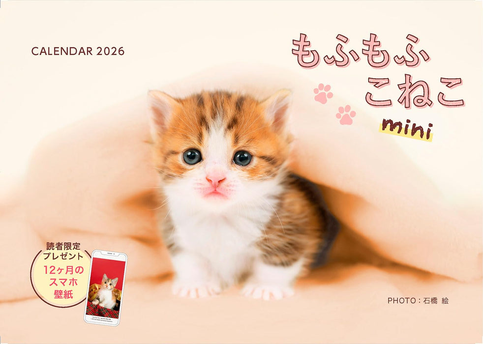 Mofumofu Koneko mini Calendar 2026 (Impress Calendar 2026)