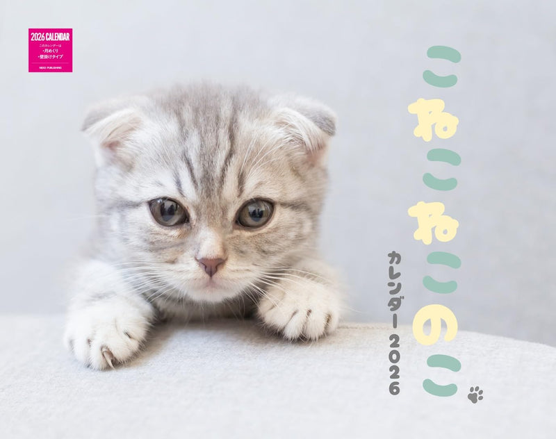 Kittens Calenddar 2026 (Monthly/Wall Calendar)