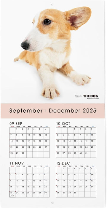 THE DOG 2026 Wall Calendar Mini Size [Welsh Corgi]