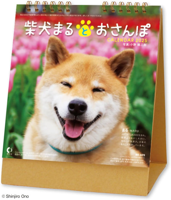 New Japan Calendar 2025 Desk Calendar Walk with Shiba Inu Maru NK8529