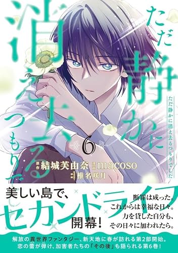 Tada Shizuka ni Kiesaru Tsumori deshita 6