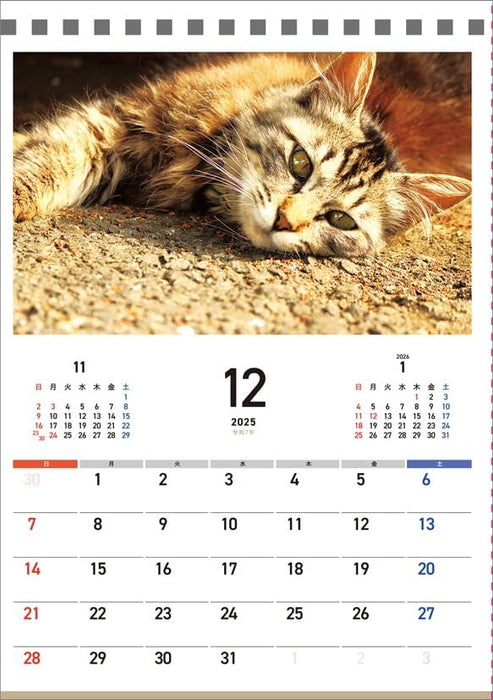 Hagoromo Charity Calendar Relaxing Cat 2025 Desk Calendar CL25-0687