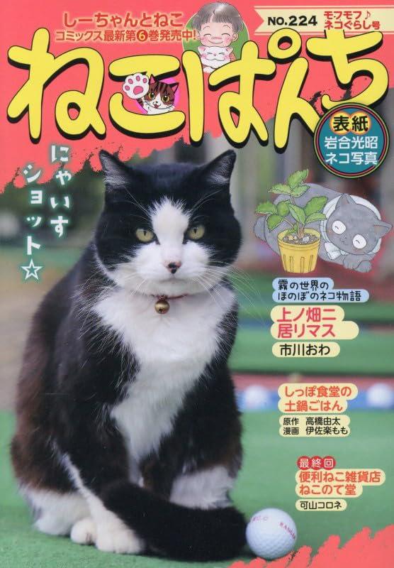 Neko Punch Mofumofu Neko Gurashi Go