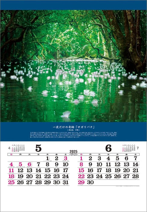 Todan 2025 Wall Calendar Miraculous Scenery: Inviting Good Fortune (Film) CL25-1080