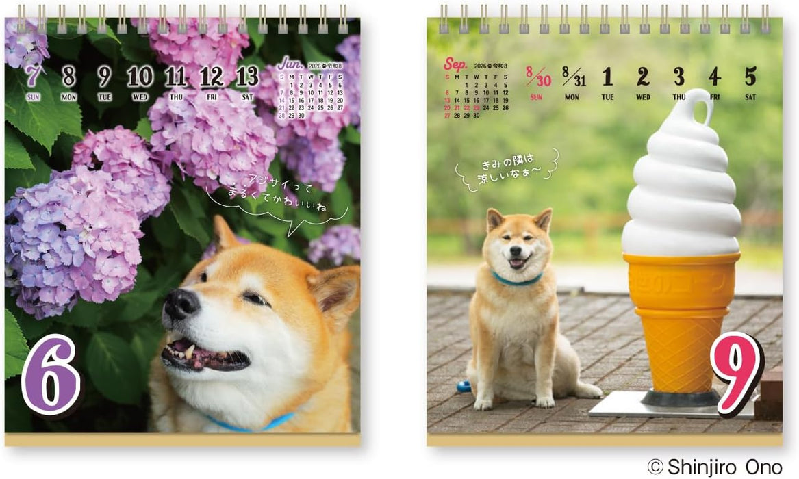 New Japan Calendar 2026 Desk Calendar Shiba Inu Maru's Chatter Weekly Flip NK4600