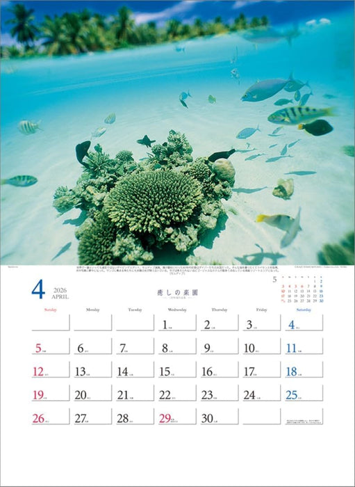 Todan 2026 Wall Calendar Healing Paradise - Kazuyoshi Miyoshi Works Collection TD-30653 CL26-1026