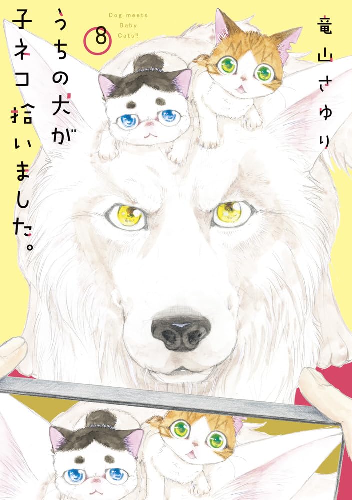Uchi no Inu ga Koneko Hiroimashita. 8
