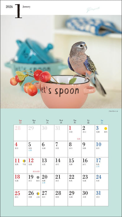 2026 Little Bird Calendar