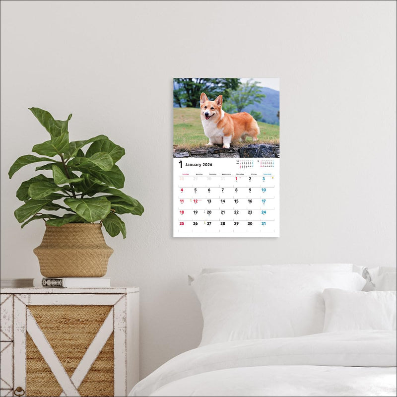 2026 Welsh Corgi Calendar Wide Edition (Seibundo-shinkosha Calendar)