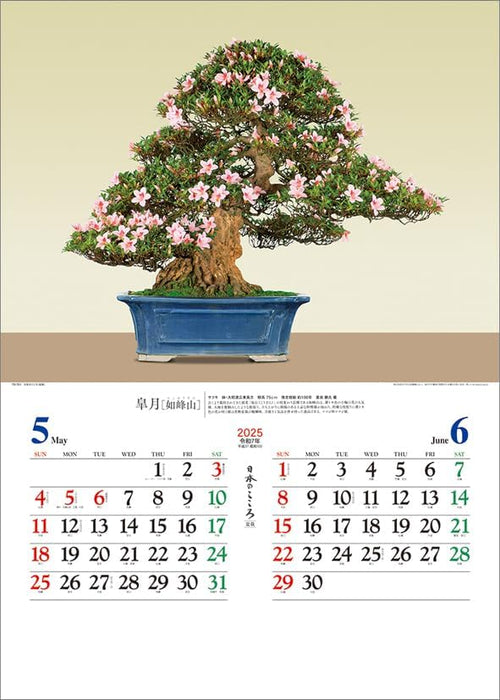 Todan 2025 Wall Calendar Japanese Heart Bonsai CL25-1073