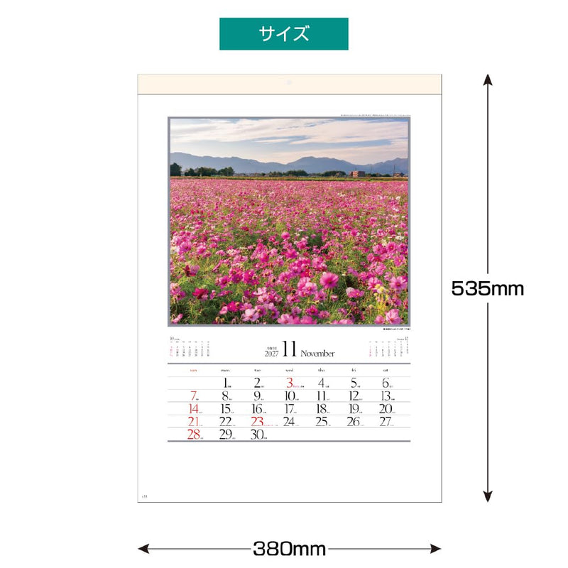 Takahashi 2027 Desk Calendar B6 E159