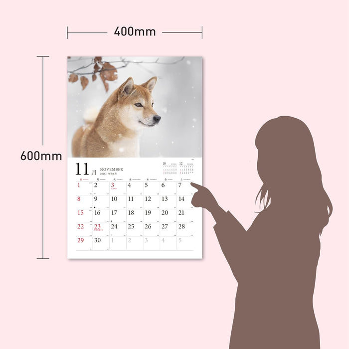 Adorable Dogs of Japan Calendar 2026 (Montly/Wall Calendar/Large)