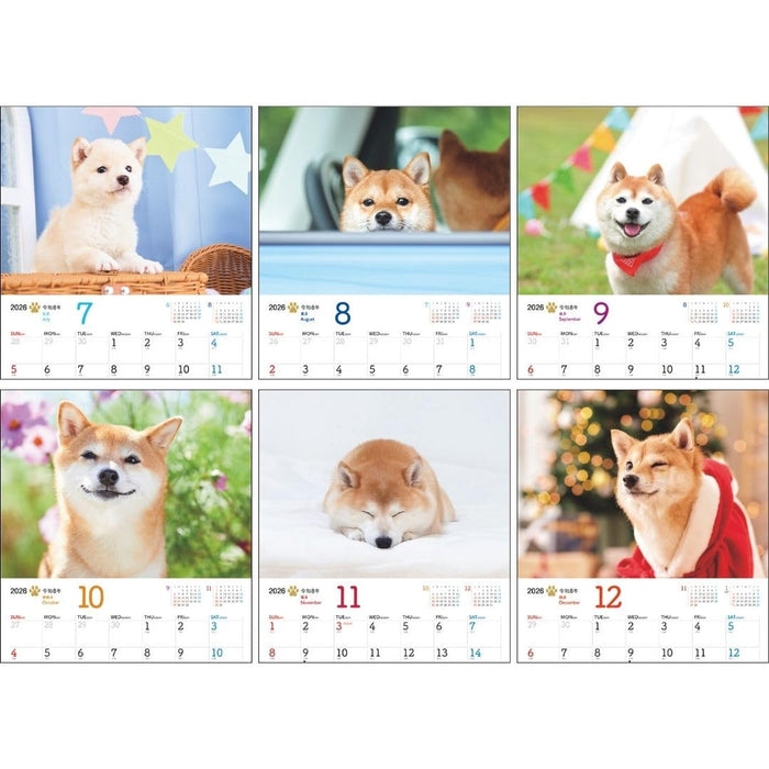 JTB Calendar Wanko 2026 Wall Calendar