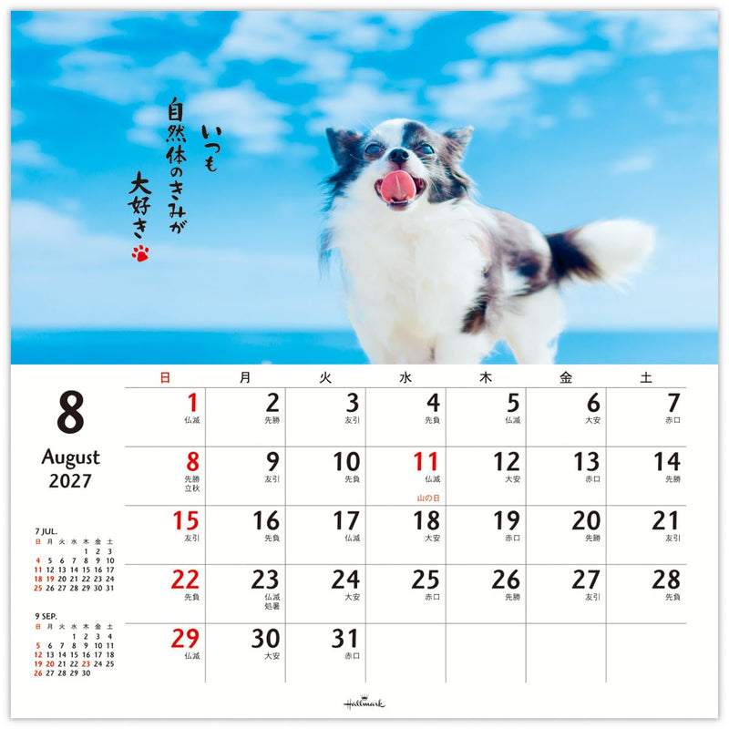 Noritsu NOLTY 2027 Desk Calendar B6 Horizontal C238