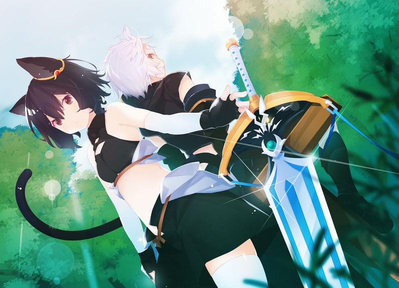 Reincarnated as a Sword (Tensei Shitara Ken Deshita) 8 (Light Novel)