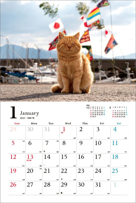 Relaxing Island Cat Journey 2025 Calendar