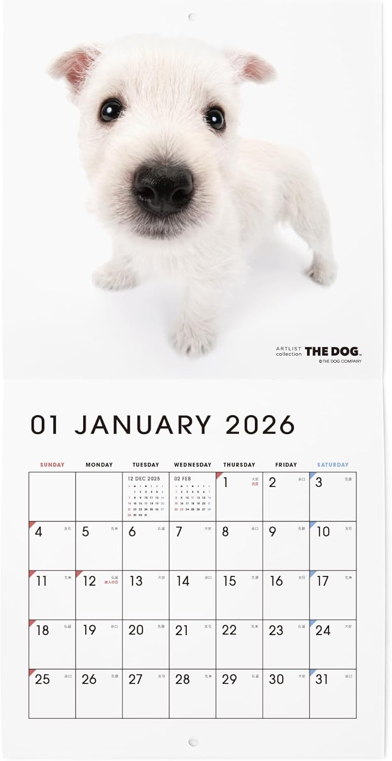 THE DOG 2026 Wall Calendar Mini Size [West Highland White Terrier]