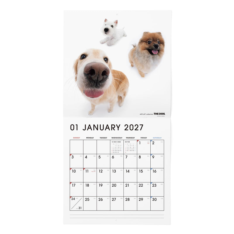 THE DOG 2027 Wall Calendar Large Size [All Stars]