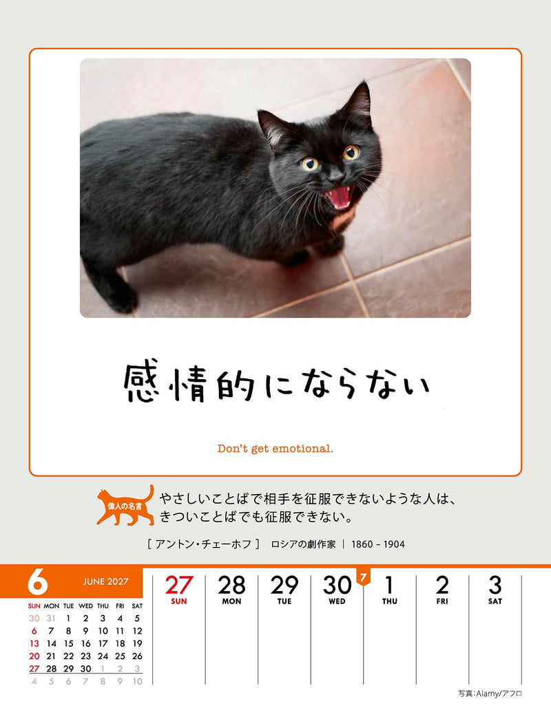 Try-X Life Works Itself Out! 2027 Desk Wall Calendar 27CL-384 18 x 14cm