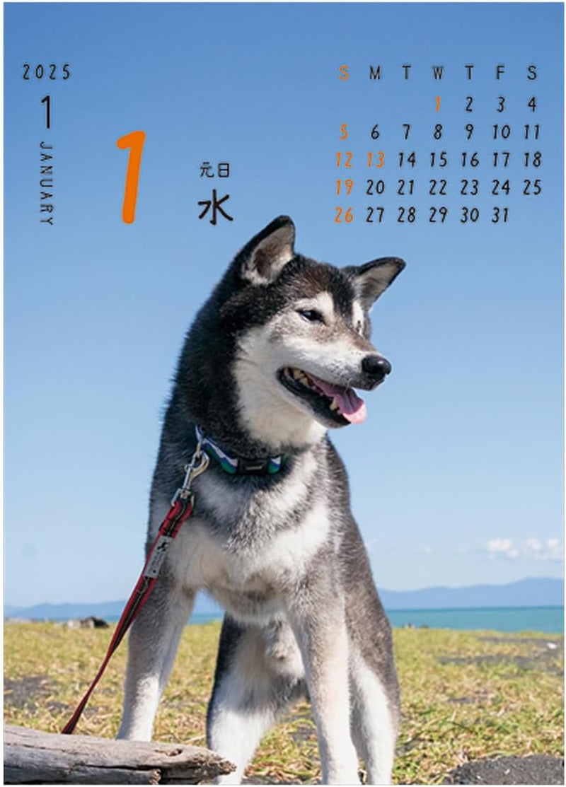 2025 Wan!! Mekuri Page-A-Day Calendar Dogs No.032