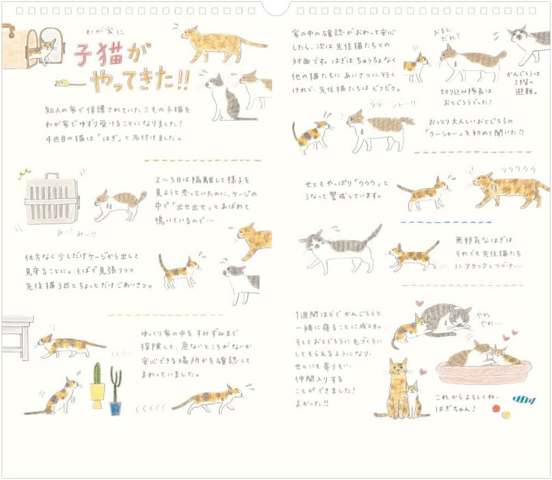 Midori 2026 Wall Calendar L Cat Oattern 31374006
