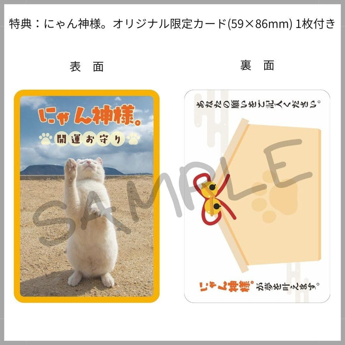 Hagoromo Nyan Kamisama. Masayoshi Yamamoto Tachi Neko 2026 Wall Calendar CL26-0399