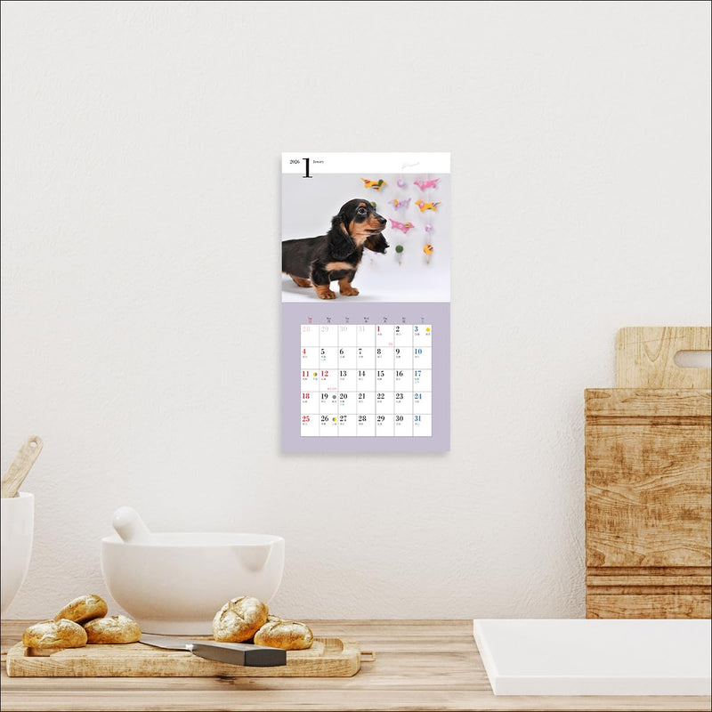 2026 Adorable Miniature Dachshund Calendar (Seibundo-shinkosha Calendar)