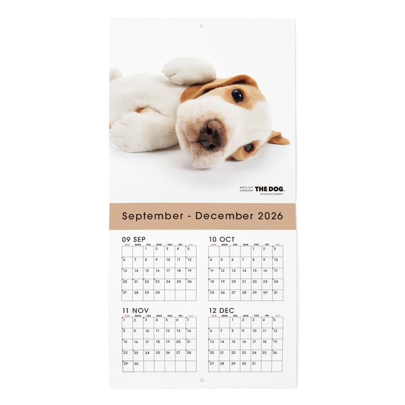 THE DOG 2027 Wall Calendar Mini Size [Beagle]
