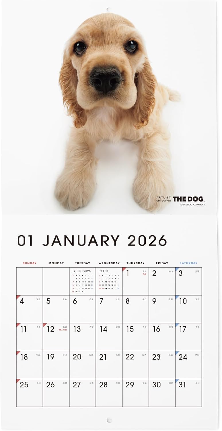 THE DOG 2026 Wall Calendar Mini Size [American Cocker Spaniel]