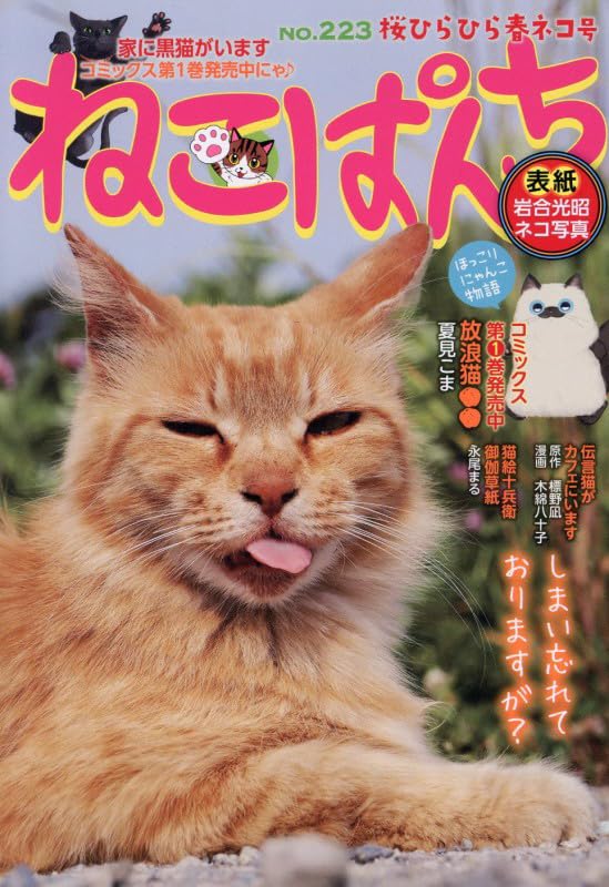 Neko Punch Sakura Hirahira Haru Neko Go