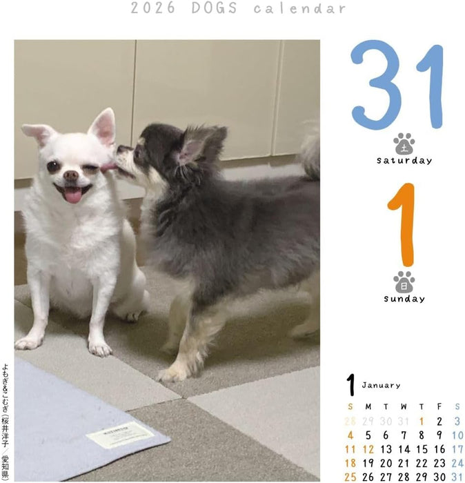 CO2 Dogs 2026 Page-A-Day Calendar Refill CK-D26-02