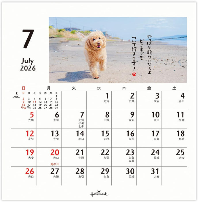 Hallmark 2026 Desk Calendar Homewanko 845544